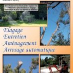 amamelis-paysage-jardin