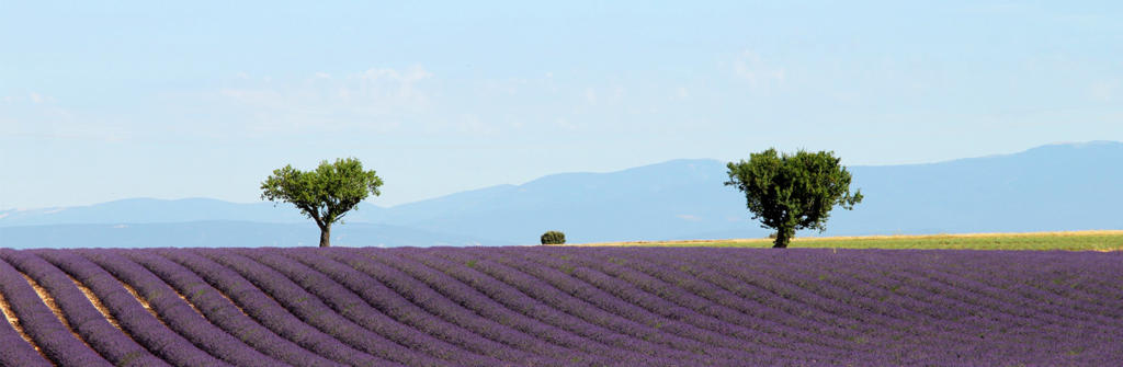 adhérents d'AVEC vous de Valensole