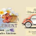 Braderie et rassemblement de voitures ancien à Valensole